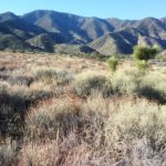 WIN_20180206_08_39_18_Pro