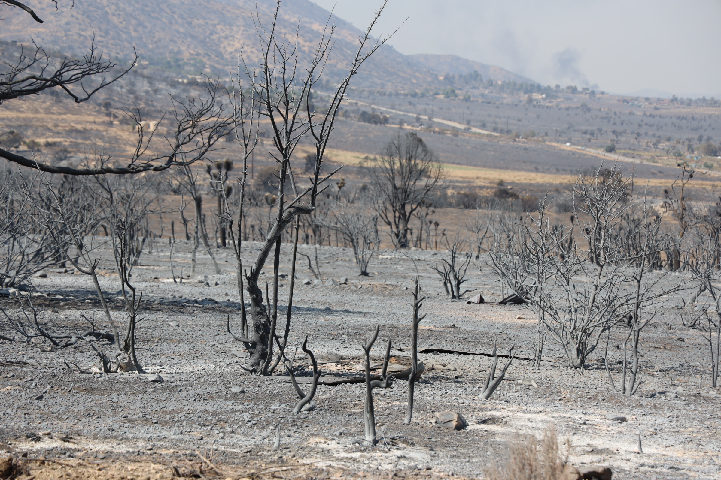 WildFire Recovery Work & farm development